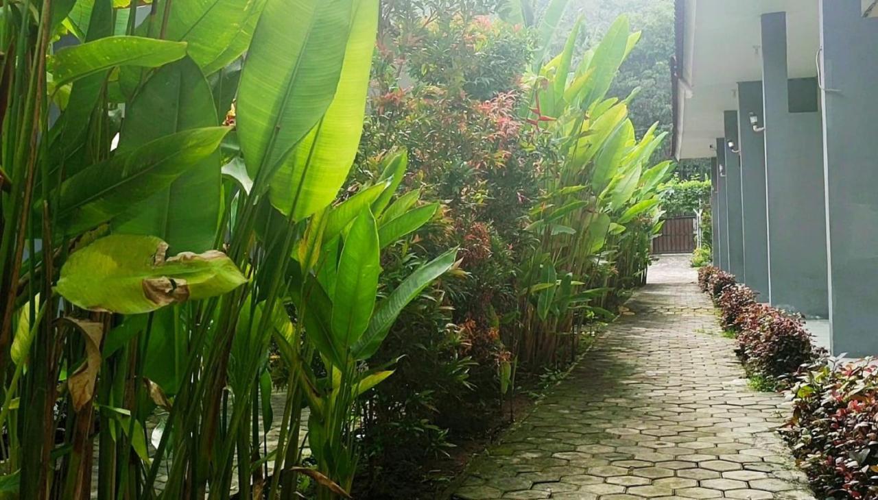 Oyo 2864 Mangsit Garden Homestay Eksteriør billede